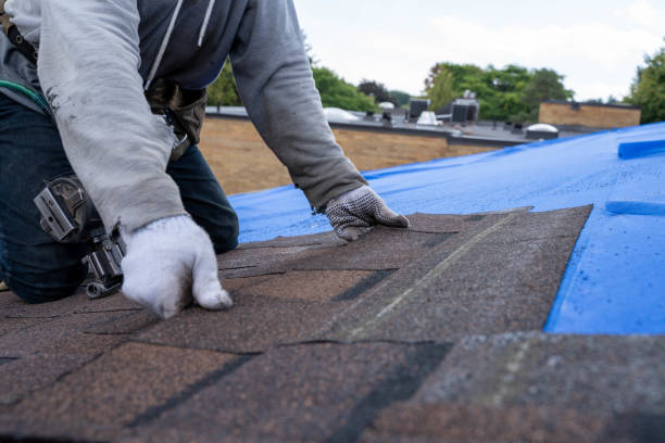 Best Solar Panel Roofing Installation  in Wellston, MO